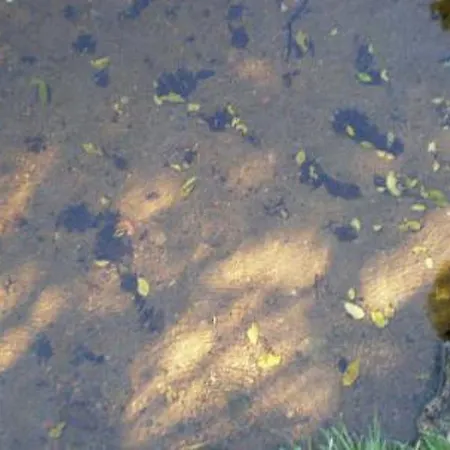 Дом отдыха 6144 By Interhome Janiskyla